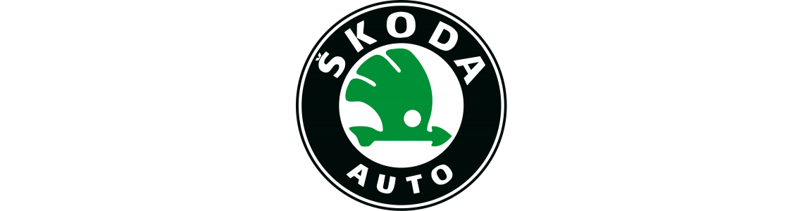 Skoda Kaliper Pimi